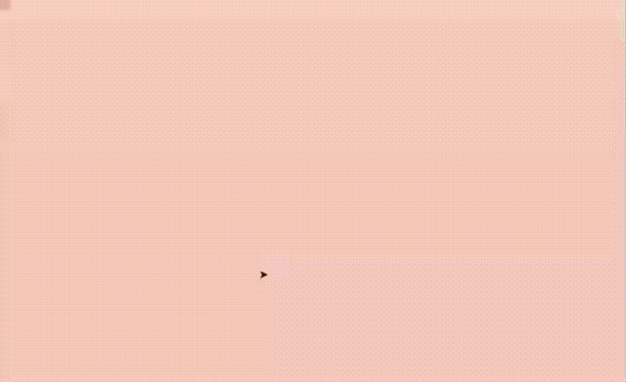 DIBUJO  DE PANDA EN PYTHON