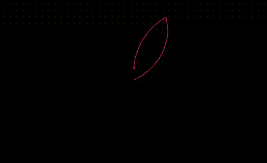 FLOR DE LOTO EN PYTHON